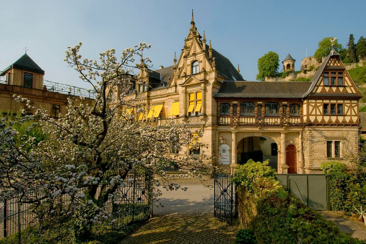 Winery Müller-Catoir