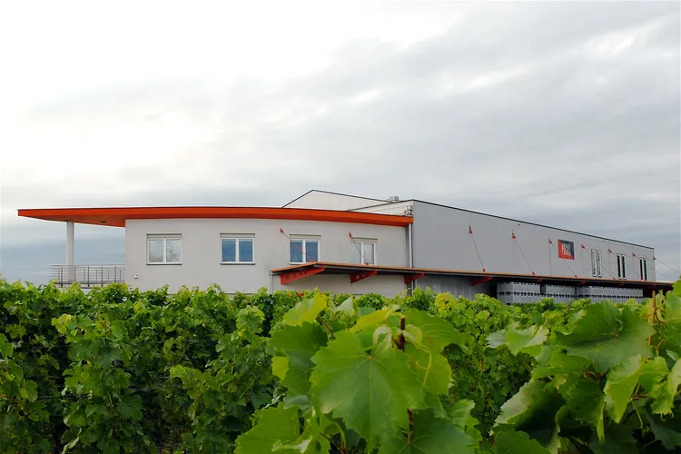 Winery Pöckl