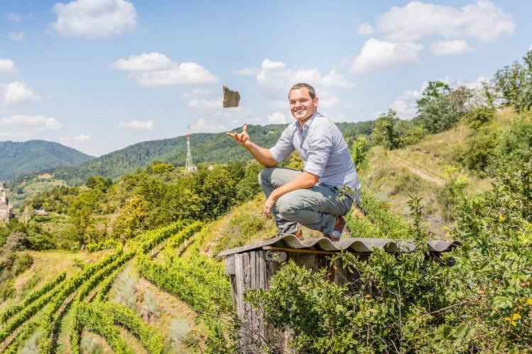 Winery Proidl