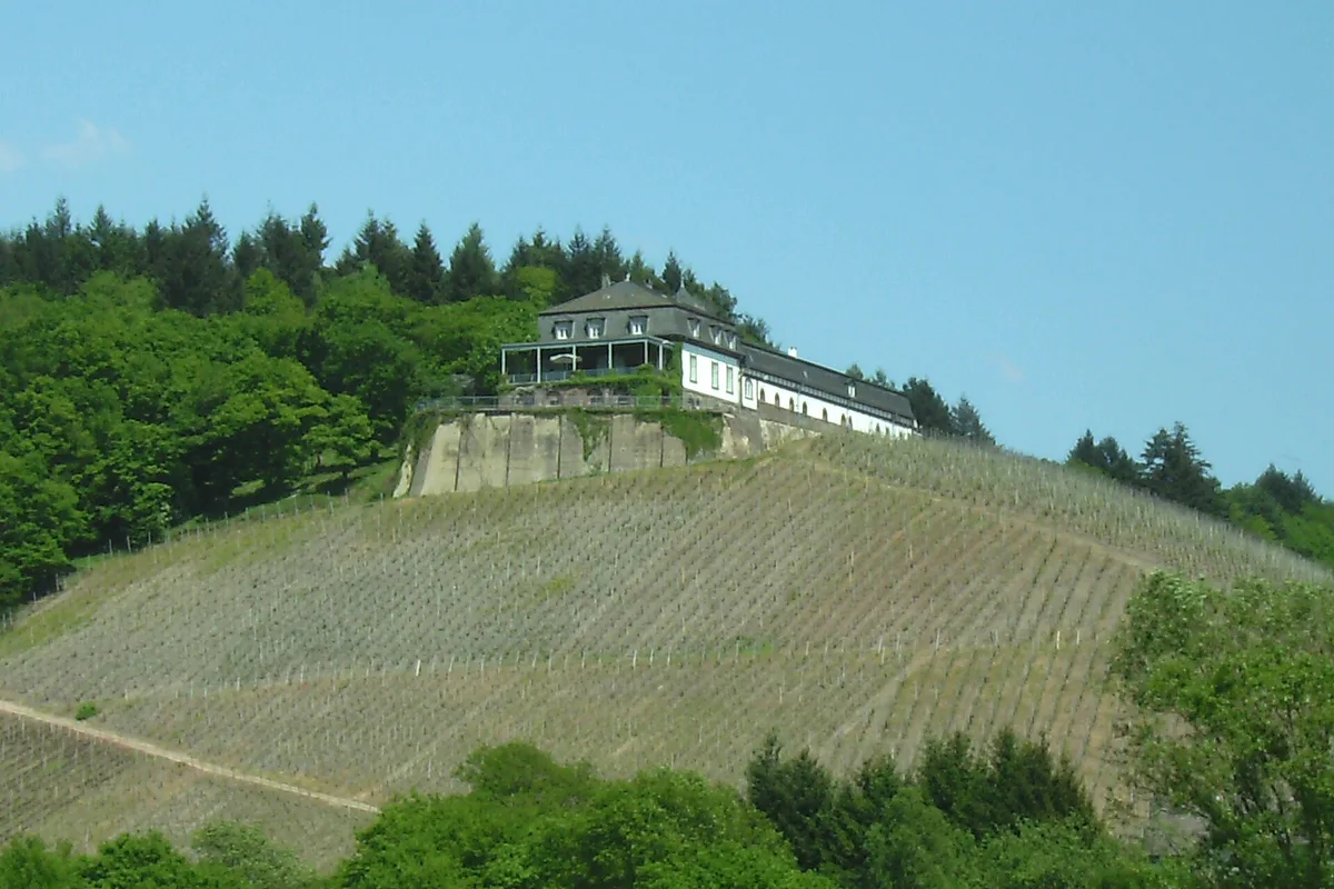 Winery Schloss Saarstein