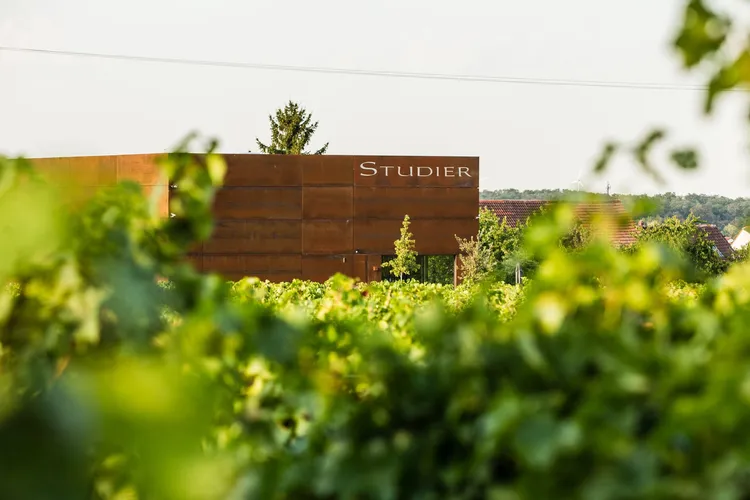 Winery Studier