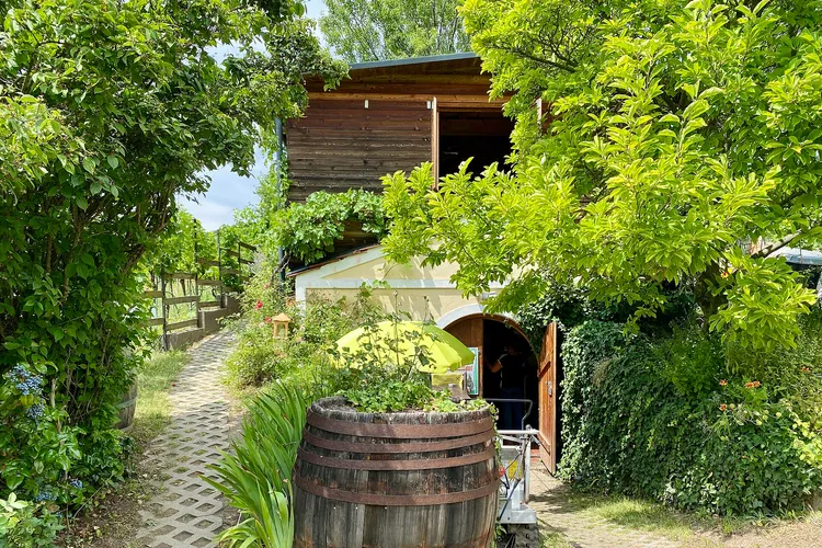 Winery Walter Wien