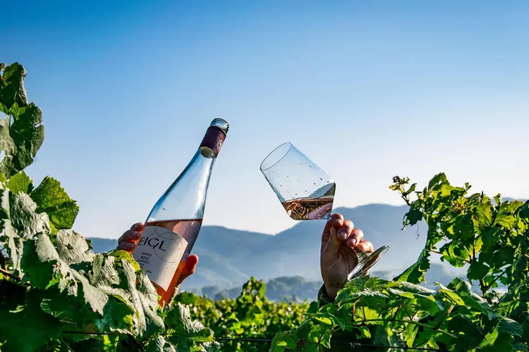 Winery Eigl