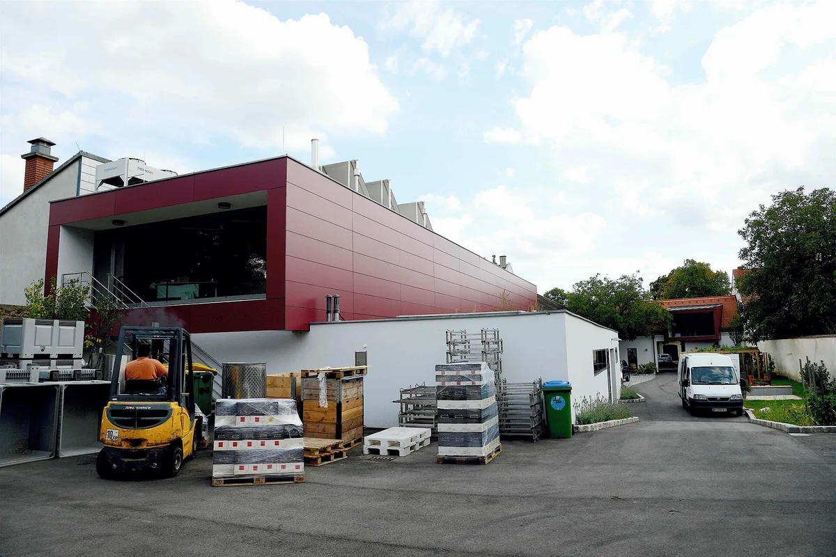 Winery Wieninger