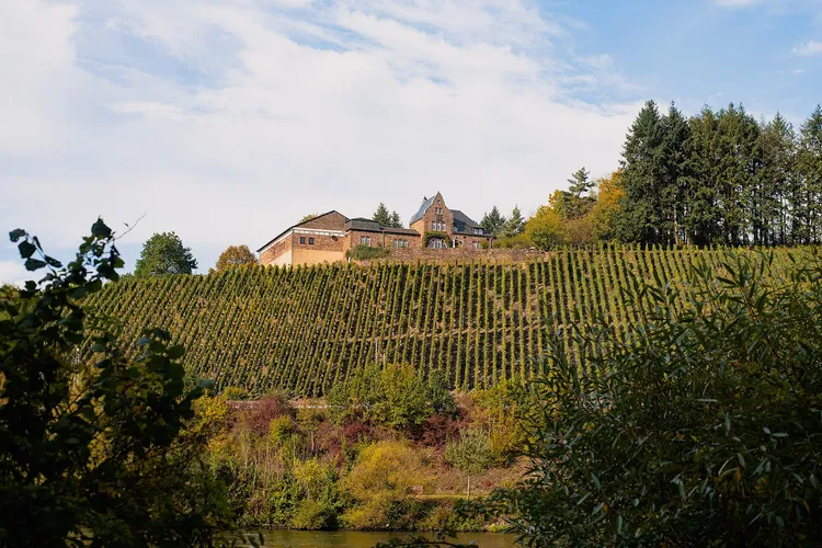 Winery Würtzberg