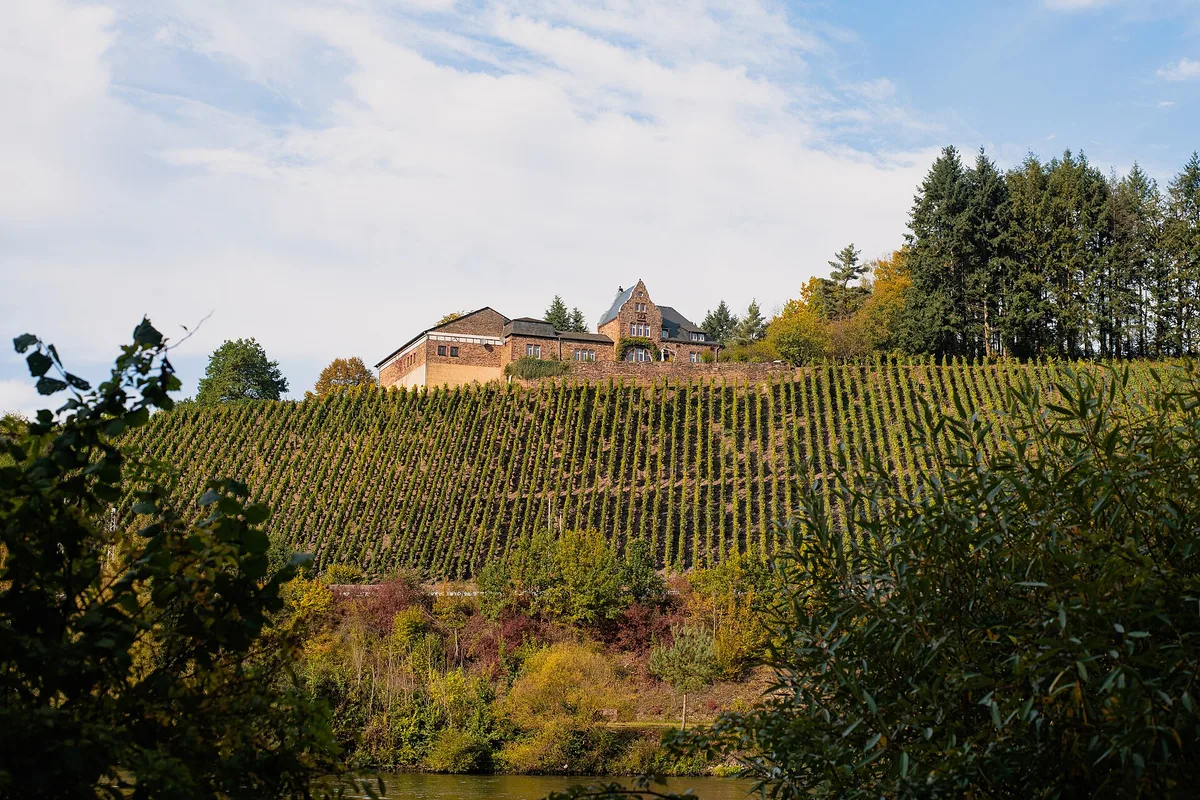 Winery Würtzberg