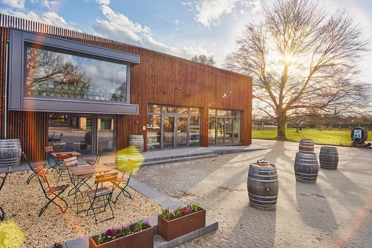 Winery Weinshop Baron von Knyphausen