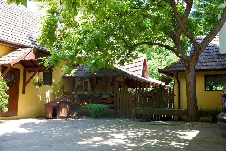 Winery Brindza