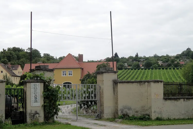 Winery Gussek
