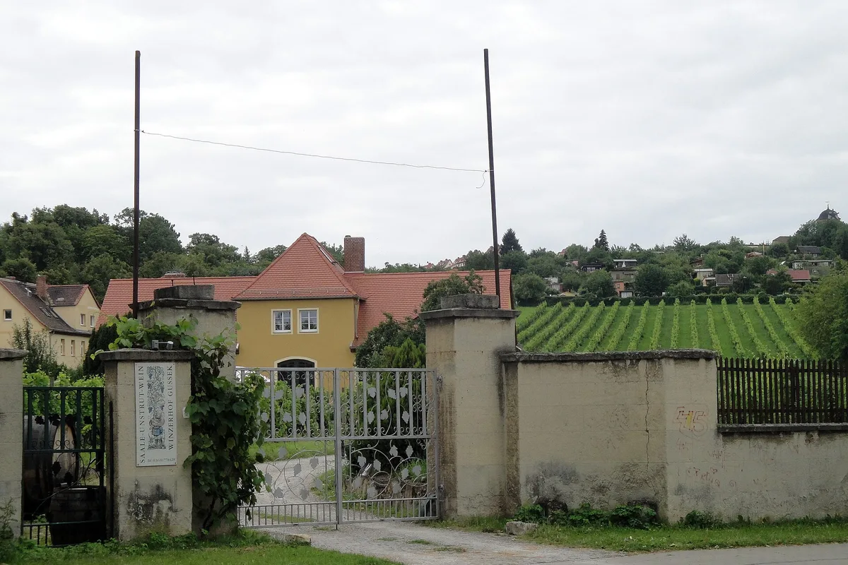 Winery Gussek